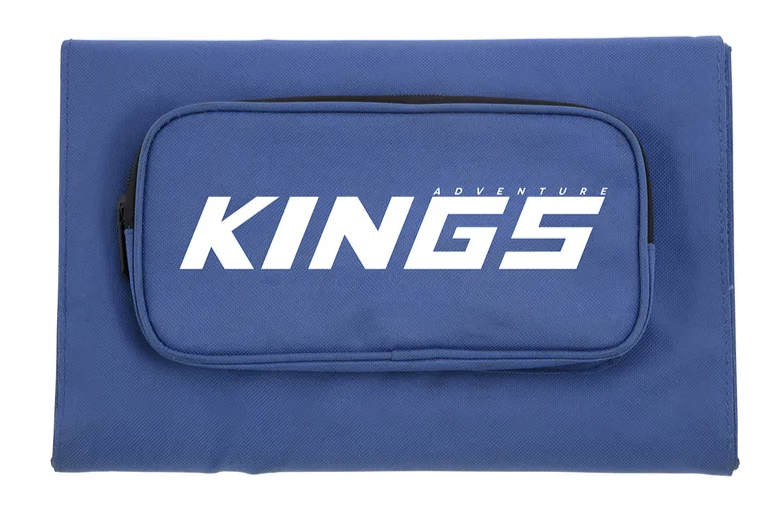PANNEAU SOLAIRE 10W USB KINGS
